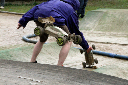 A_2012_Altendorf (29)